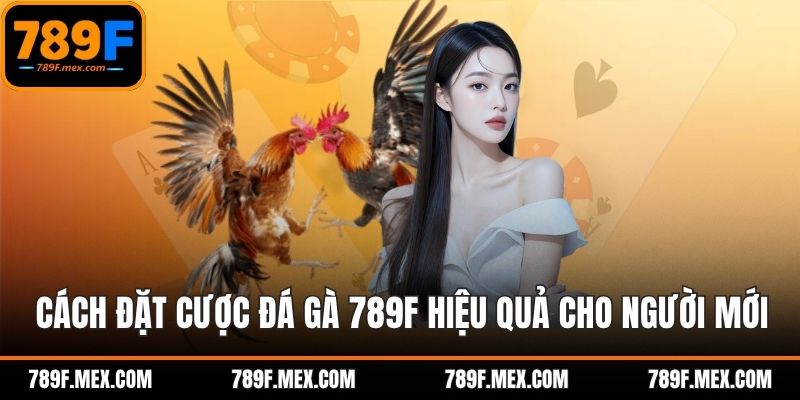 Cách Đặt Cược Đá Gà 789F Hiệu Quả Cho Người Mới Bắt Đầu