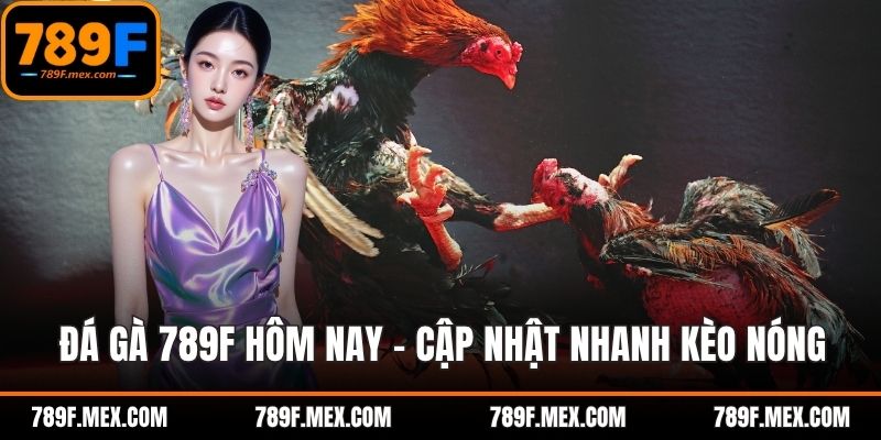 Đá Gà 789F Hôm Nay – Cập Nhật Nhanh Kèo Nóng Từ 789F