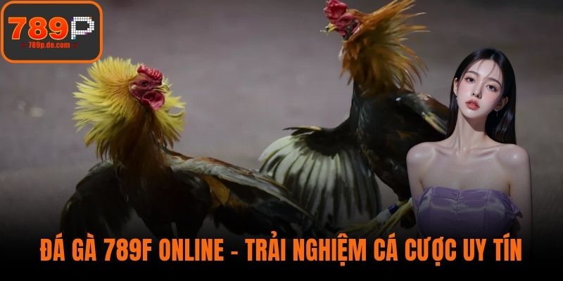 Đá Gà 789F Online - Trải Nghiệm Cá Cược Uy Tín Hàng Đầu