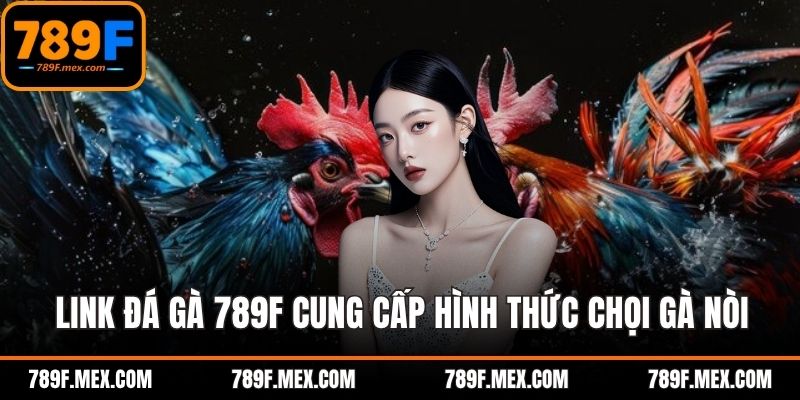 Link đá gà 789F cung cấp hình thức chọi gà nòi